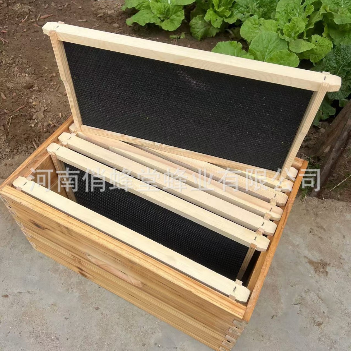 Ferramentas de Apicultura de P - Beehive Frame Wax avaliação e preço